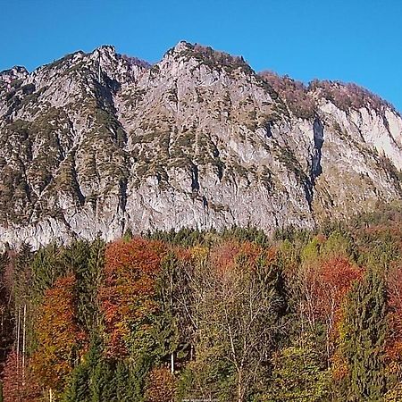 Pension Bergfried Grödig Εξωτερικό φωτογραφία