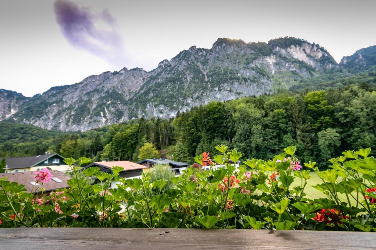 Pension Bergfried Grödig Εξωτερικό φωτογραφία